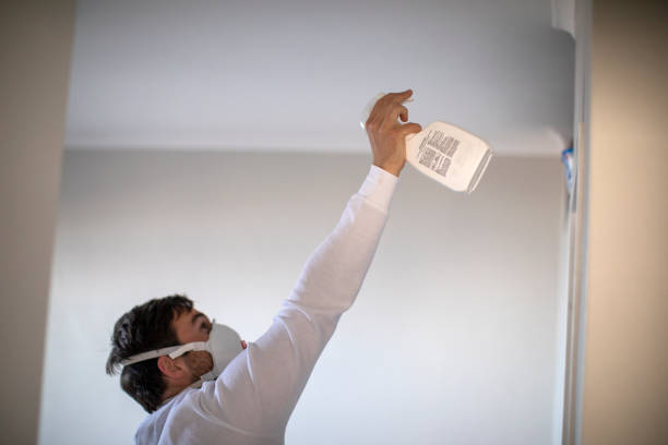 Best Emergency Mold Remediation in Sylvan Lake, MI