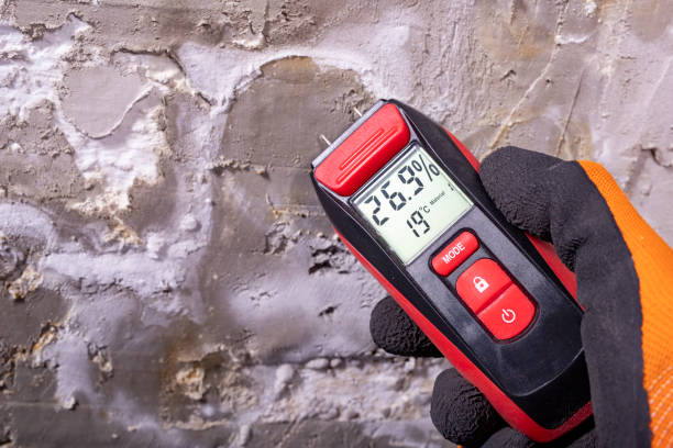 Best Post-Flood Mold Remediation in Sylvan Lake, MI