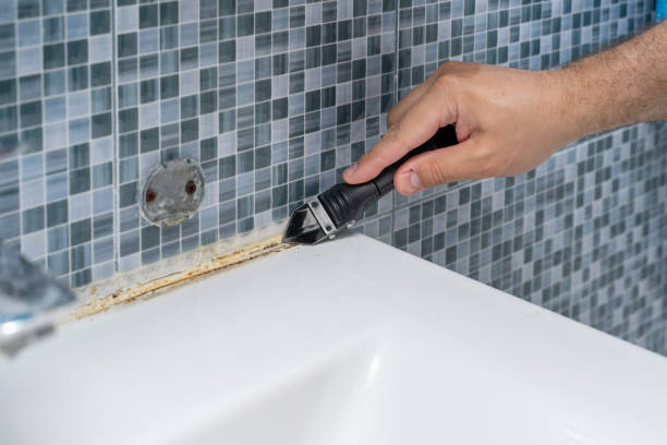 Best Residential Mold Remediation in Sylvan Lake, MI